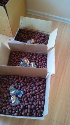 自家產(chǎn)新疆大棗，天然小棗，批發(fā)零售，品質(zhì)之選